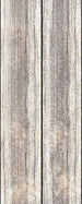 Komar Vintage Rose Vlies Fototapete 100x250cm 1-bahn | Yourdecoration.de