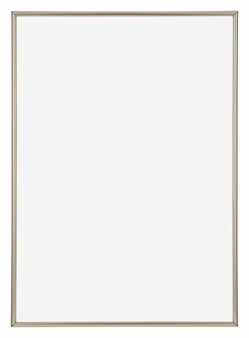Annecy Kunststoff Bilderrahmen 42x59 4cm A2 Champagner Vorne | Yourdecoration.de