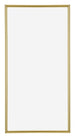 Annecy Kunststoff Bilderrahmen 50x100cm Gold Vorne | Yourdecoration.de