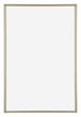 Annecy Kunststoff Bilderrahmen 62x93cm Champagner Vorne | Yourdecoration.de
