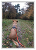 Bilderrahmen 21x29,7cm A4 Silber Aluminium - Vorne Foto | Yourdecoration.de