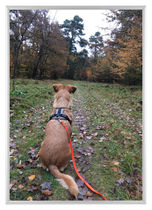 Aurora Aluminium Bilderrahmen 21x29 7cm A4 set von 3 Silber Vorne Foto | Yourdecoration.de