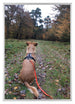 Aurora Aluminium Bilderrahmen 21x29 7cm A4 set von 3 Silber Vorne Foto | Yourdecoration.de