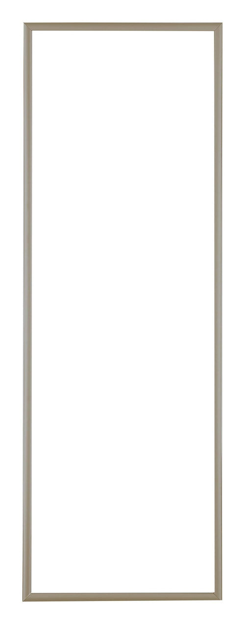 Austin Aluminium Bilderrahmen 20x60cm Champagner Vorne | Yourdecoration.de