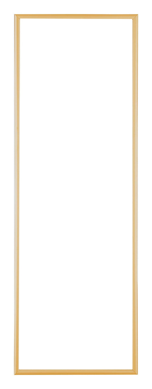 Austin Aluminium Bilderrahmen 20x60cm Gold Vintage Vorne | Yourdecoration.de
