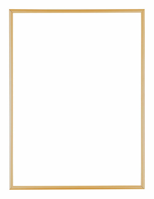 Austin Aluminium Bilderrahmen 30x40cm Gold Vintage Vorne | Yourdecoration.de