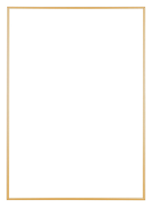 Austin Aluminium Bilderrahmen 30x42cm Gold Vintage Vorne | Yourdecoration.de