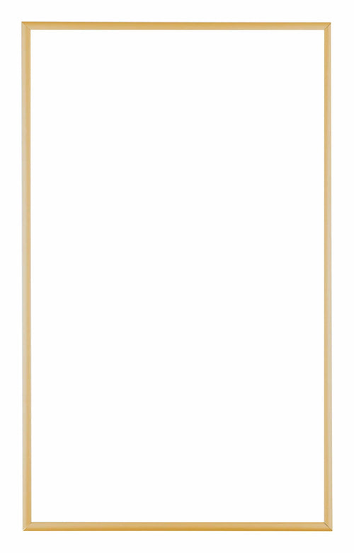 Austin Aluminium Bilderrahmen 30x50cm Gold Vintage Vorne | Yourdecoration.de
