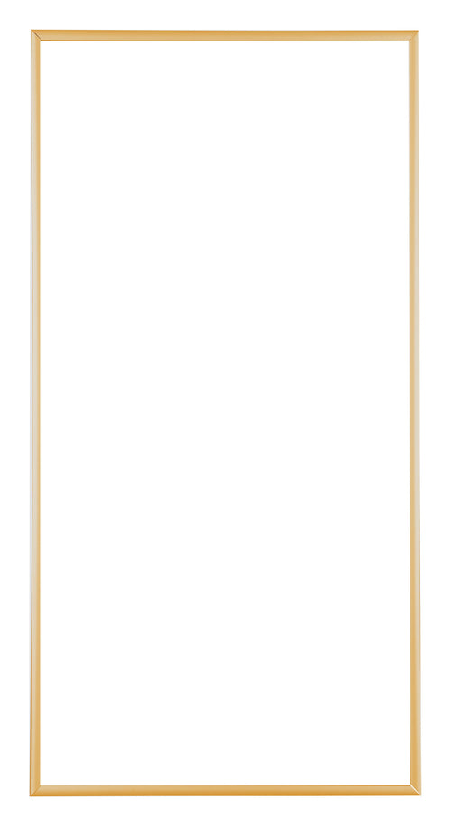 Austin Aluminium Bilderrahmen 50x100cm Gold Vintage Vorne | Yourdecoration.de