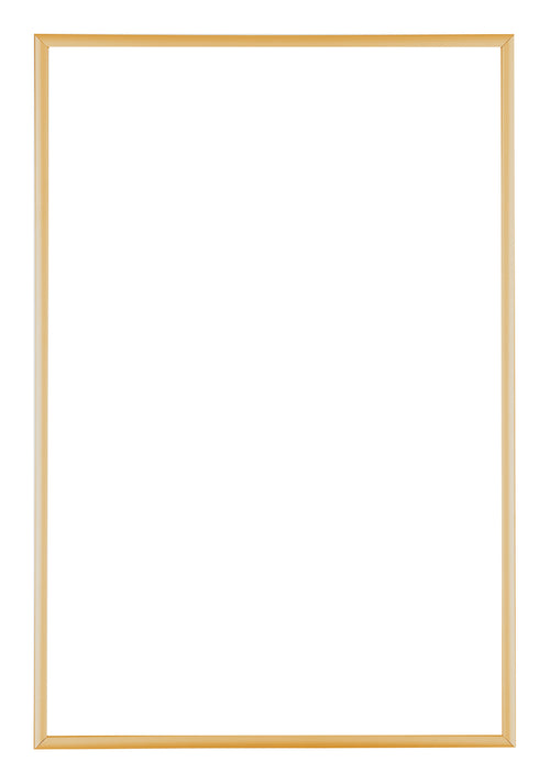 Austin Aluminium Bilderrahmen 50x75cm Gold Vintage Vorne | Yourdecoration.de