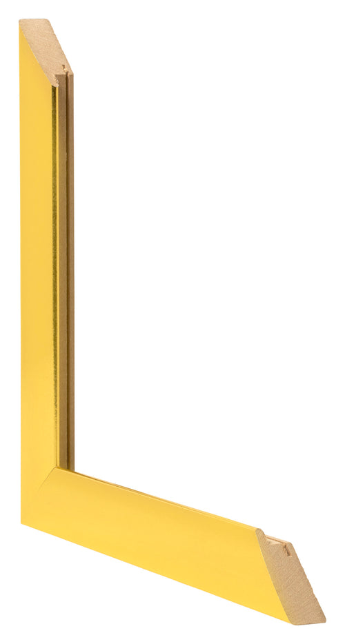 Bilderrahmen 20x28cm Gold Vintage MDF Pisa Detail Querschnitte | Yourdecoration.de