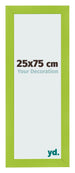 Bilderrahmen 25x75cm Grün MDF Pisa Vorne Messe | Yourdecoration.de