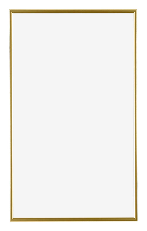 Evry Kunststoff Bilderrahmen 30x50cm Gold Vorne | Yourdecoration.de