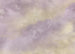 Fototapete Lavender clouds 350x250cm FLX7 009 | Yourdecoration.nl
