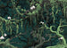Fototapete Orch Idee 350x250cm FLX7 019 | Yourdecoration.nl