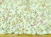 Komar Oiseaux du Paradis Vlies Fototapete 350x250cm 7 bahnen | Yourdecoration.de