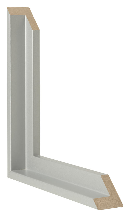 Lyon MDF Schattenfugenrahmen Silber Matt Querschnitte | Yourdecoration.de