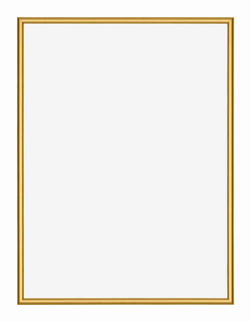 New York Aluminium Bilderrahmen 30x40cm Gold Glanz Vorne | Yourdecoration.de