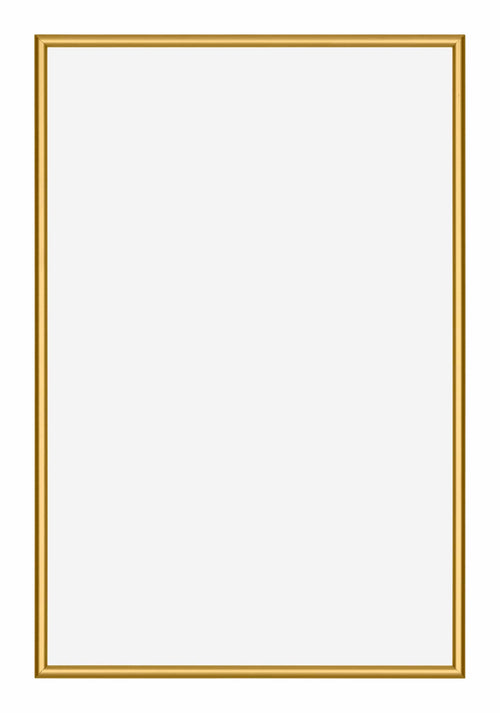 New York Aluminium Bilderrahmen 40x60cm Gold Glanz Vorne | Yourdecoration.de