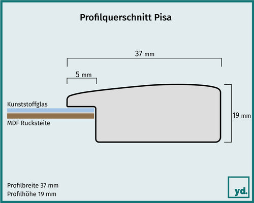 Pisa Detail Querschnitt Zeichnung | Yourdecoration.de