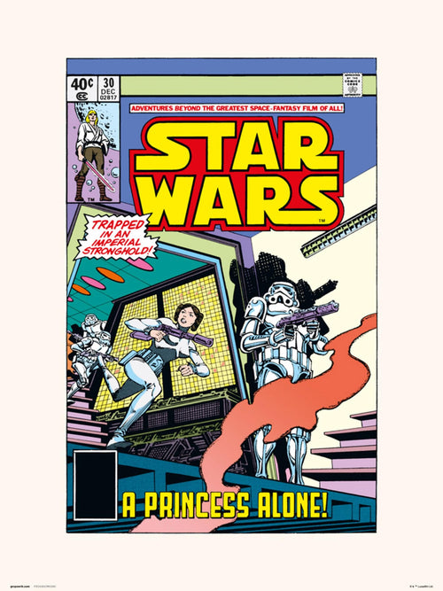 Grupo Erik Star Wars 30 A Princess Alone Kunstdruck 30X40cm | Yourdecoration.de