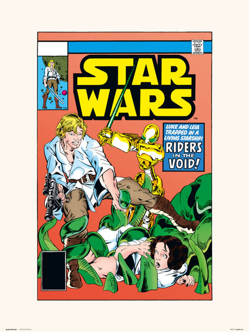 Grupo Erik Star Wars 38 Riders In The Void Kunstdruck 30X40cm | Yourdecoration.de