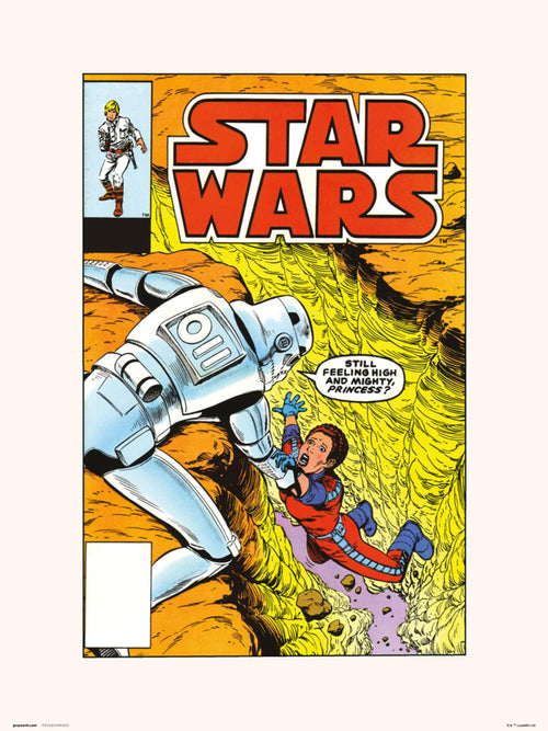Grupo Erik Star Wars 86 The Alderaan Factor Kunstdruck 30X40cm | Yourdecoration.de