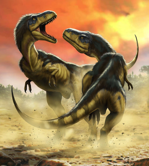 Komar Vlies Fototapete Iangx5 006 Albertosauruses Fight | Yourdecoration.de