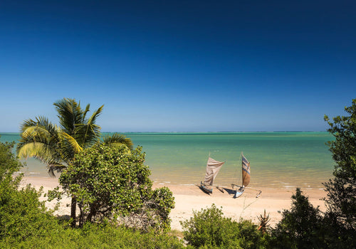 Komar Vlies Fototapete Iangx8 003 Madagascar Hideout | Yourdecoration.de