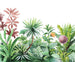 Komar Vlies Fototapete Iax6 0007 Terrain | Yourdecoration.de