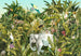 Komar Vlies Fototapete Iax8 0002 Jungle Expedition | Yourdecoration.de