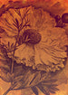 Komar Vlies Fototapete Inx4 031 Harvest | Yourdecoration.de