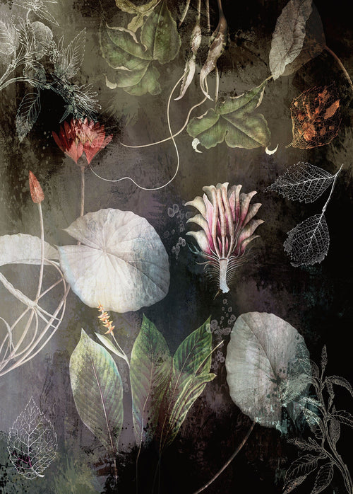 Komar Vlies Fototapete Inx4 044 Night Flowers | Yourdecoration.de