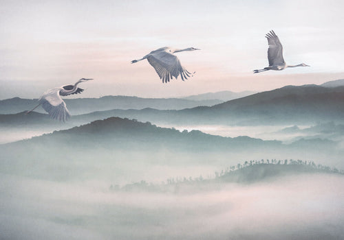 Komar Vlies Fototapete Inx8 083 Mystic Cranes | Yourdecoration.de