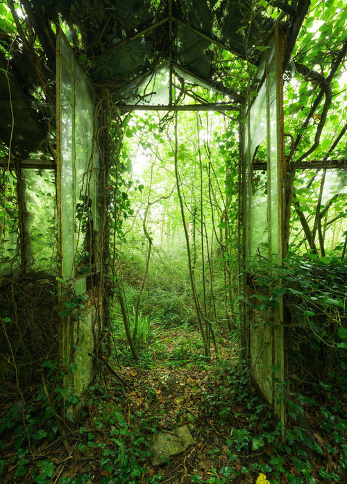 Komar Vlies Fototapete Shx4 158 Greenhouse | Yourdecoration.de