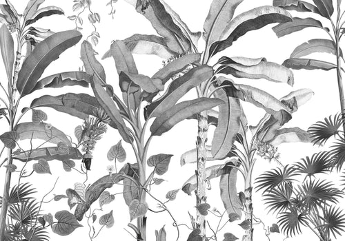 Komar Vlies Fototapete Inx8 082 Croissances Monochrome | Yourdecoration.de