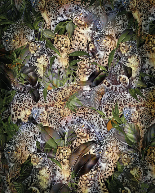 Komar Vlies Fototapete X4 1046 Wild Cats | Yourdecoration.de