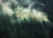 Komar Vlies Fototapete X7 1003 Misty Crowns | Yourdecoration.de