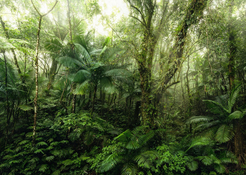 Komar Vlies Fototapete X7 1009 Mindfulness | Yourdecoration.de