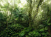 Komar Vlies Fototapete X7 1009 Mindfulness | Yourdecoration.de