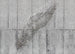 Komar Vlies Fototapete X7 1023 Concrete Feather | Yourdecoration.de