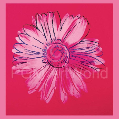 Andy Warhol - Daisy 1982 Kunstdruck 90x90cm | Yourdecoration.de