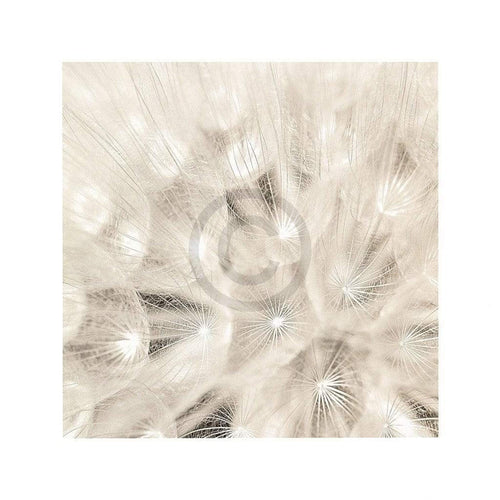 Adam Brock - On the Breeze Kunstdruck 51x51cm | Yourdecoration.de