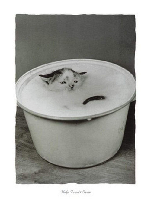 B. Creative - Help I can't swim Kunstdruck 30x40cm | Yourdecoration.de