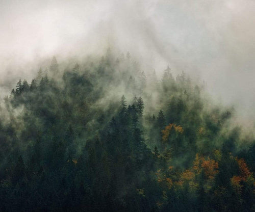 Komar Tales of the Carpathians Vlies Fototapete 300x250cm 3-bahnen | Yourdecoration.de