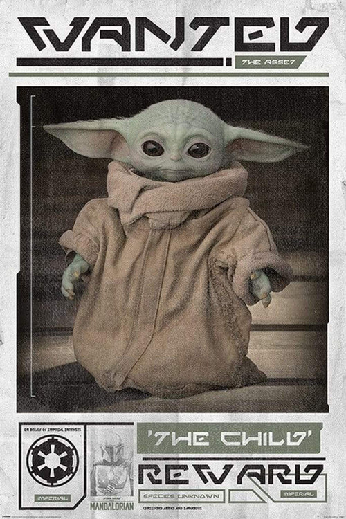 Pyramid Star Wars The Mandalorian Wanted the Child Poster 61x91,5cm | Yourdecoration.de