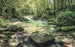 Komar Tranquil Pool Vlies Fototapete 400x250cm 4-bahnen | Yourdecoration.de