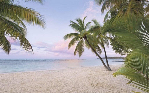 Komar Paradise Morning Vlies Fototapete 400x250cm 4-bahnen | Yourdecoration.de