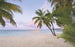 Komar Paradise Morning Vlies Fototapete 400x250cm 4-bahnen | Yourdecoration.de