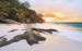 Komar Nature Vlies Fototapete 400x250cm 4-bahnen | Yourdecoration.de